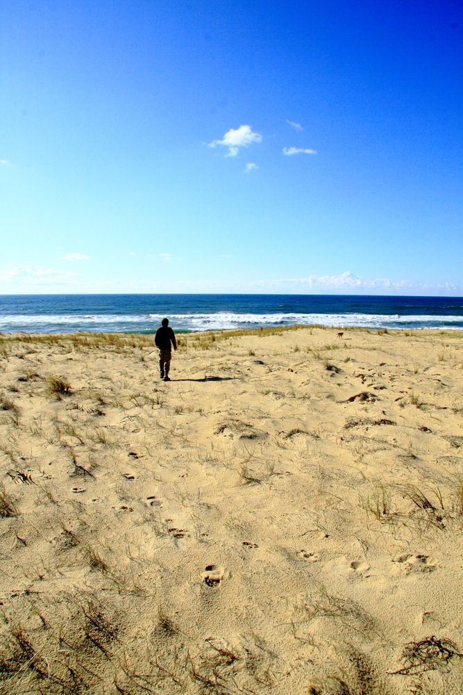 Marcher sur le sable...des mollets en béton.