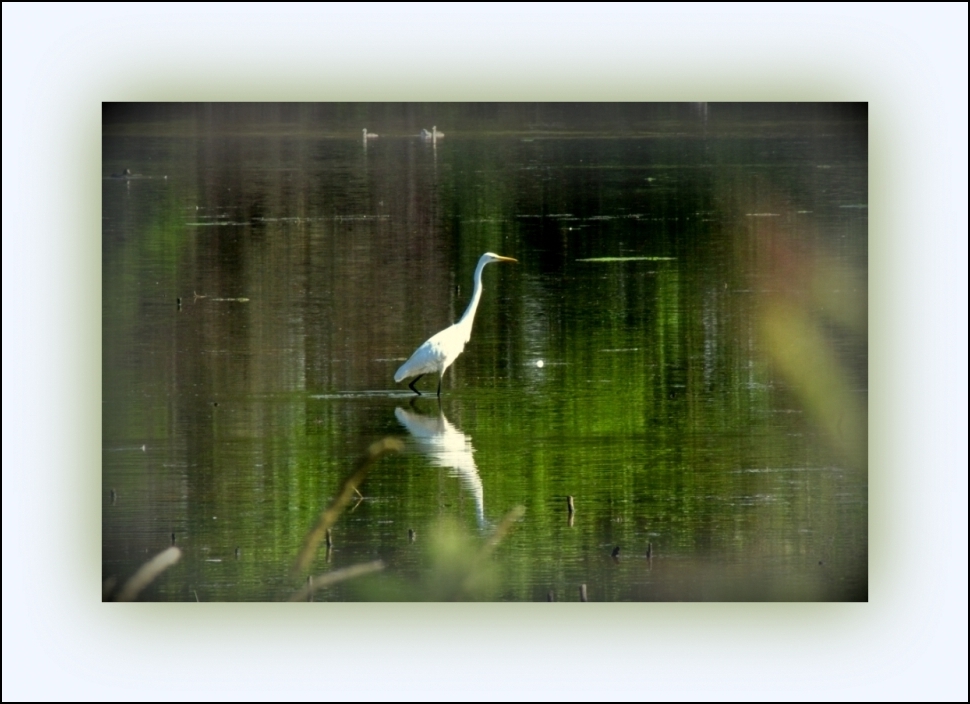 Marcher sur l'eau