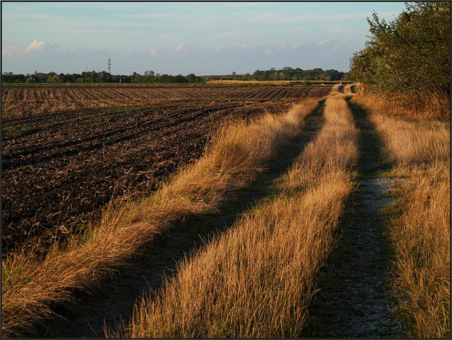 marchfeld-hügeln