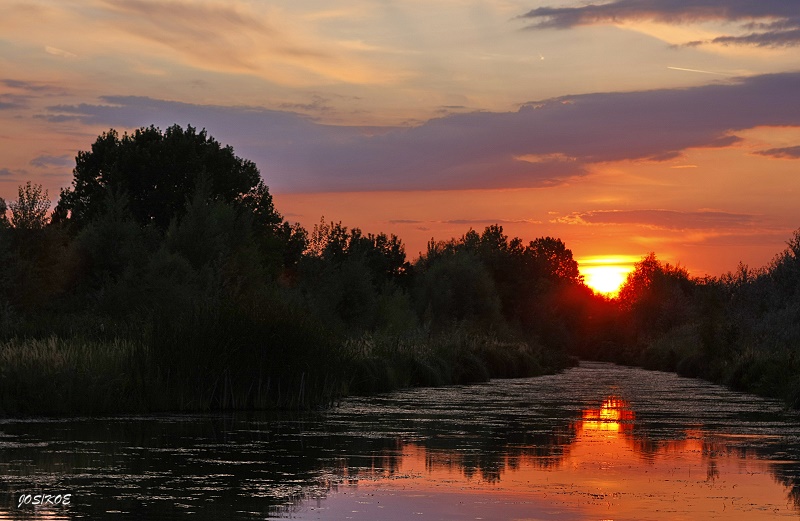 Marchfeld Kanal