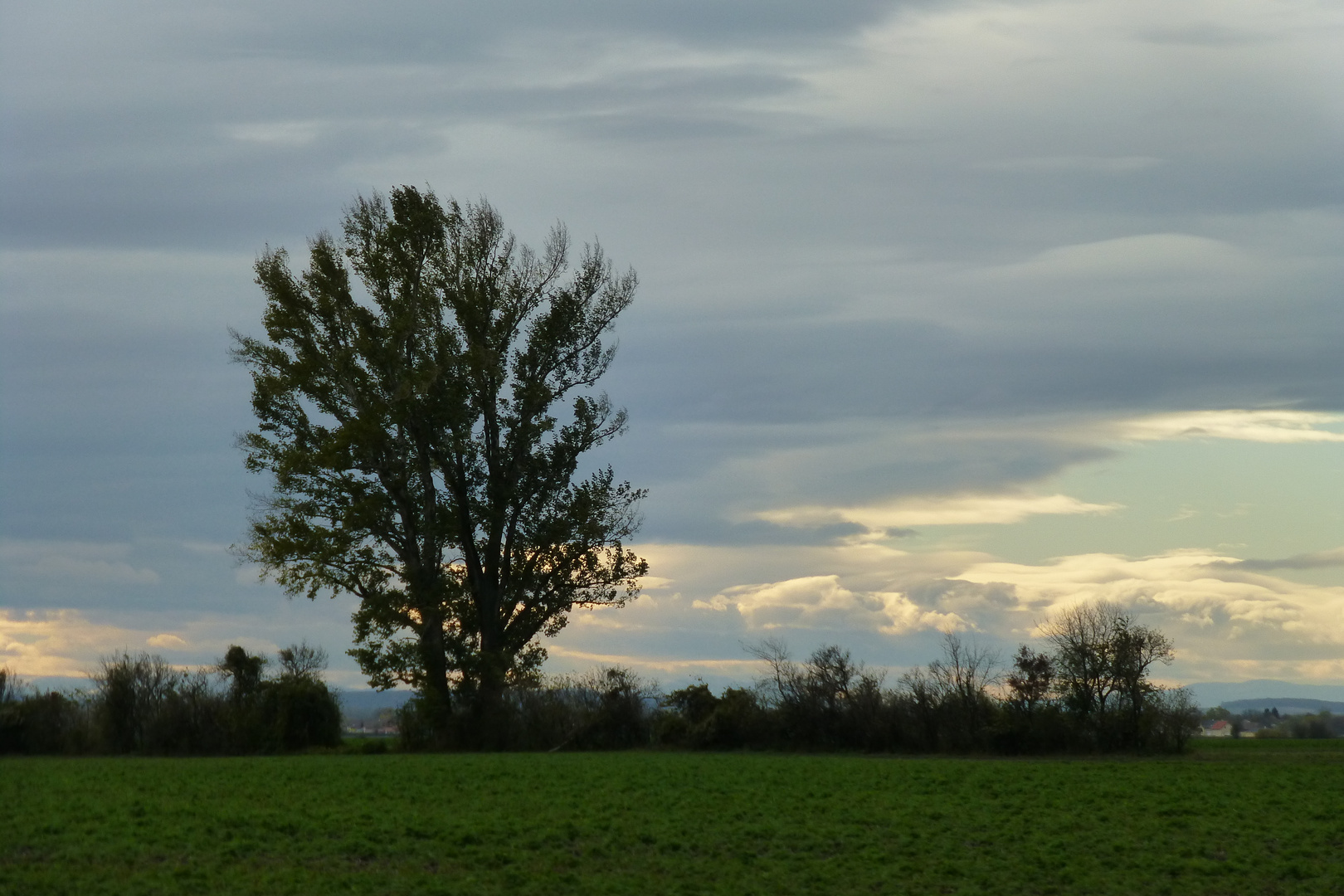 marchfeld-sightseeingtour 14/14