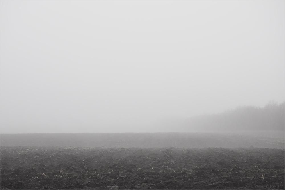 marchfeld-weihnachtswetter 2015