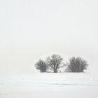 marchfelder schnee-nebelmischung