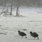 marching on the frozen lake