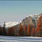 * marchons dans la neige ! *