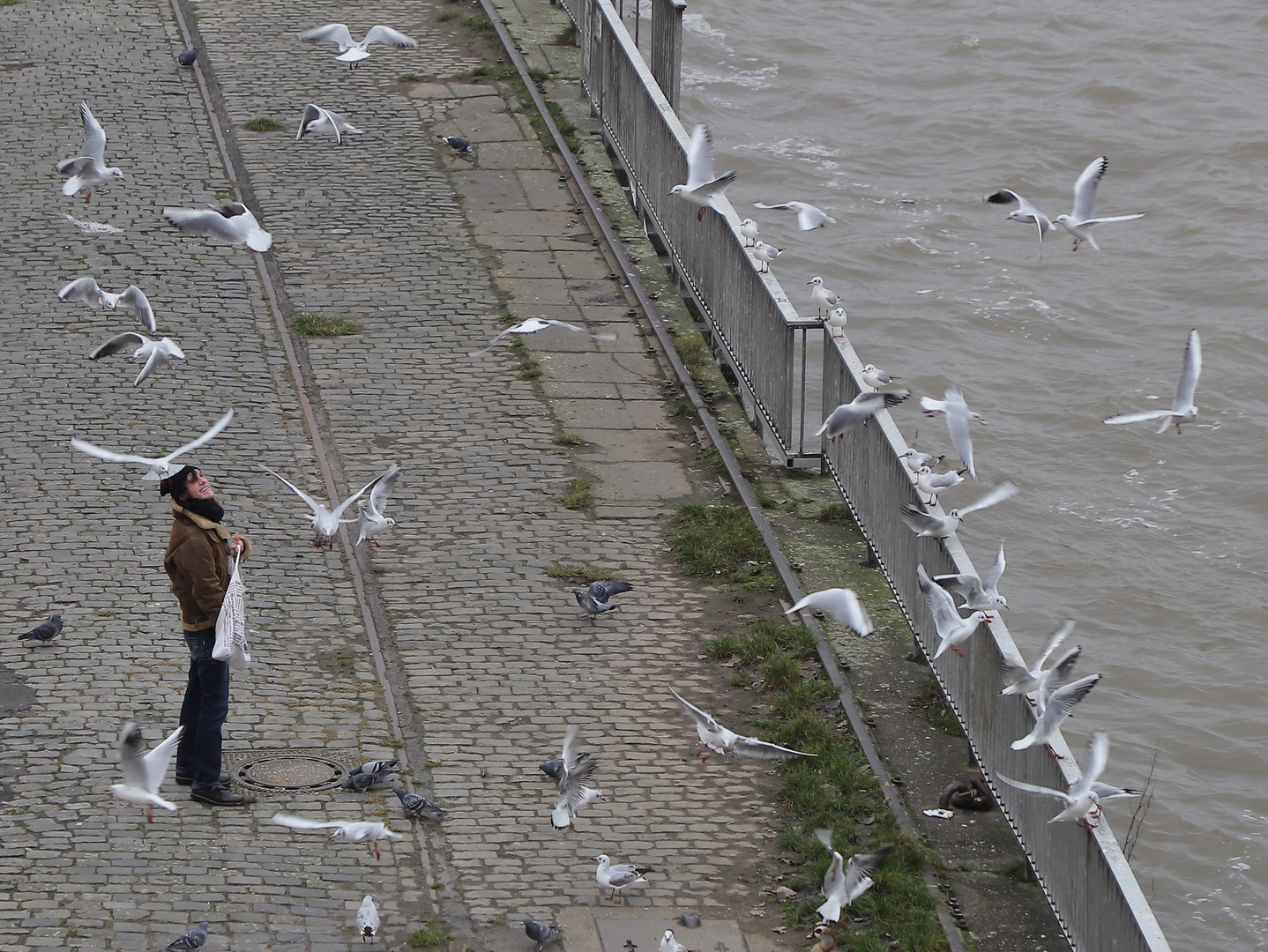 Marco and the birds.