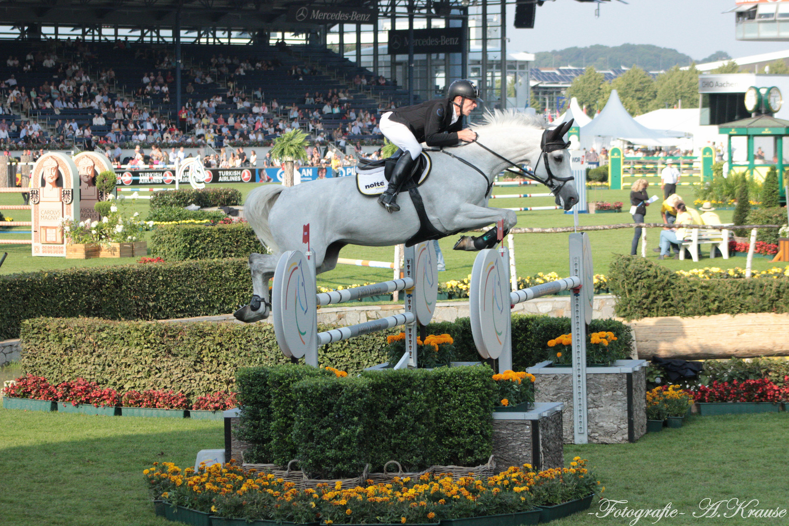 Marcus Ehning Foto & Bild erwachsene, tiere, haustiere Bilder auf