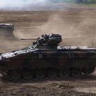 Marder in Action