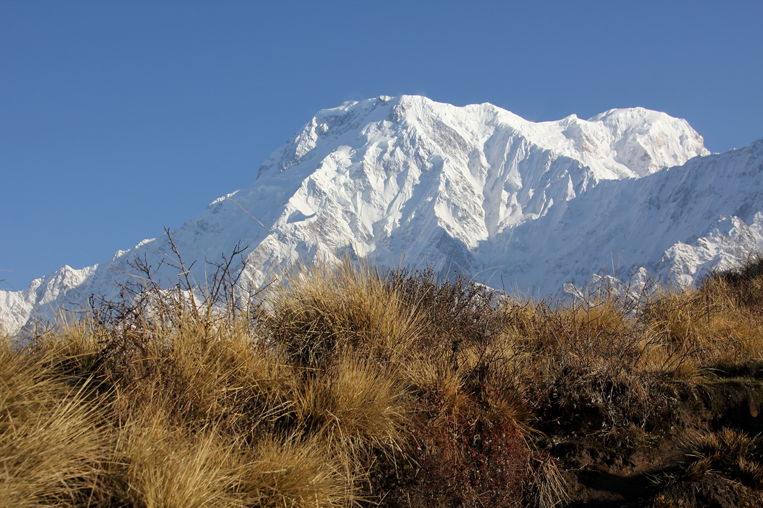 Mardi Himal