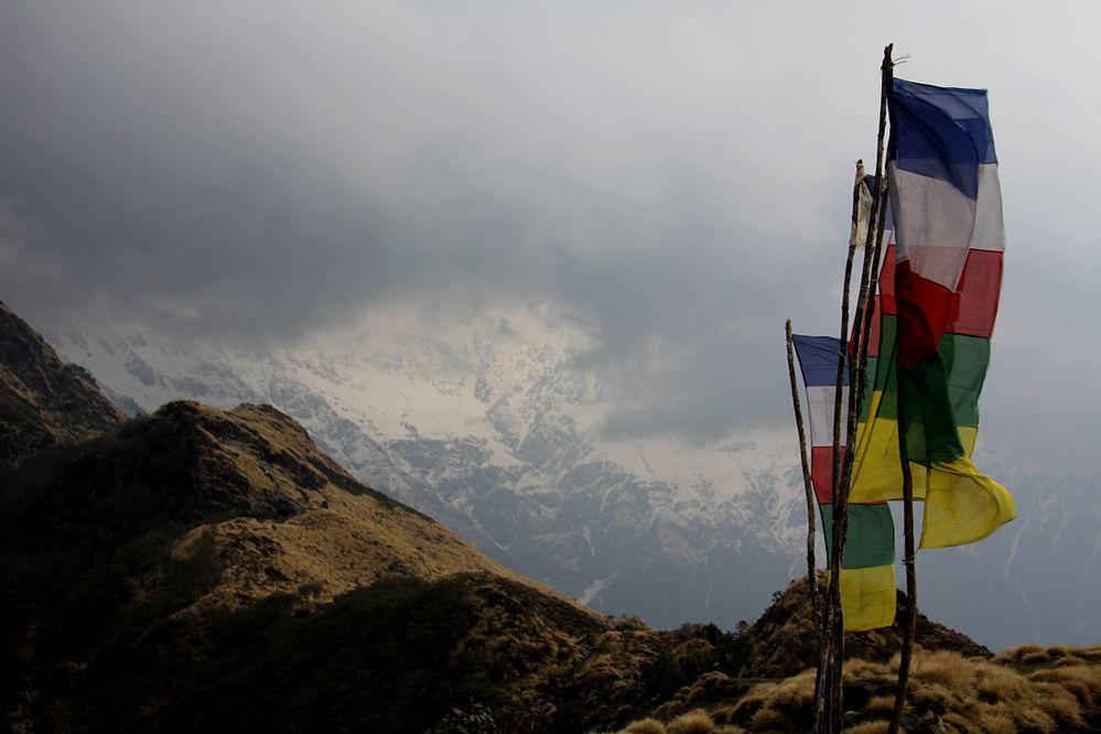 Mardi Himal Trek