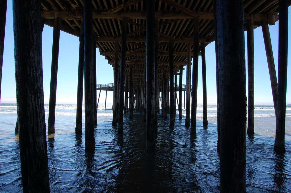 mare a Pismo Beach california