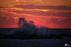 ... mare agiato prima del sorgere del sole