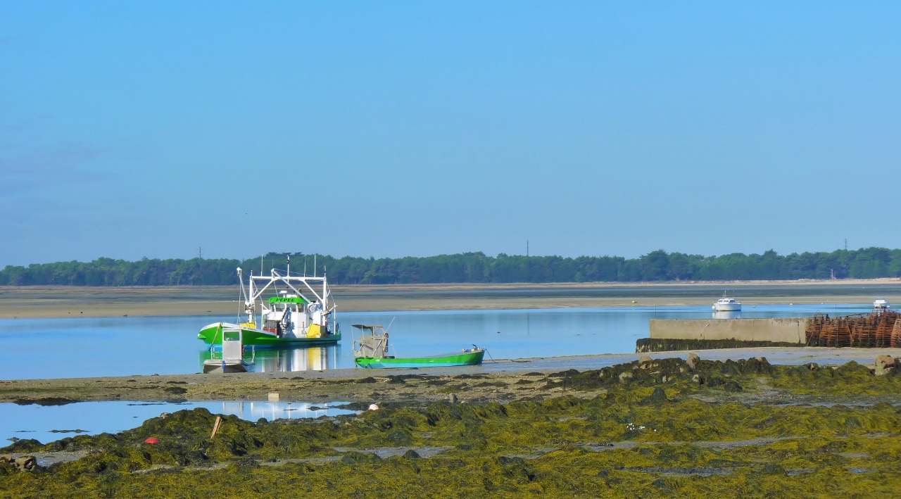 Maré basse du côté de Plouharnel 2