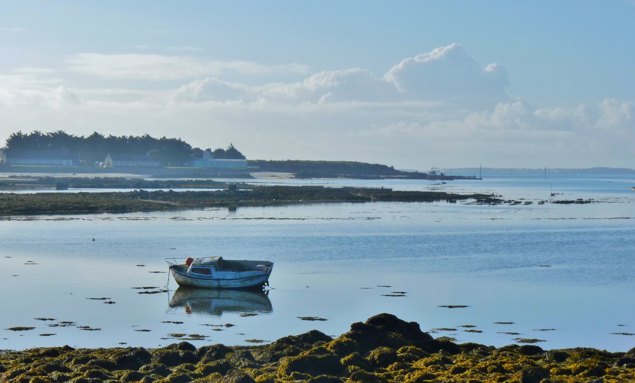 Mare basse du côté Plouharnel 3