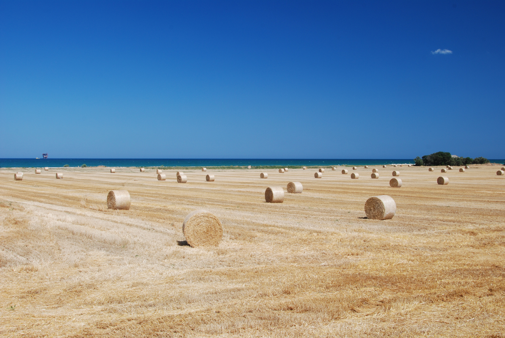 Mare Bionde e Riccioli d'Oro