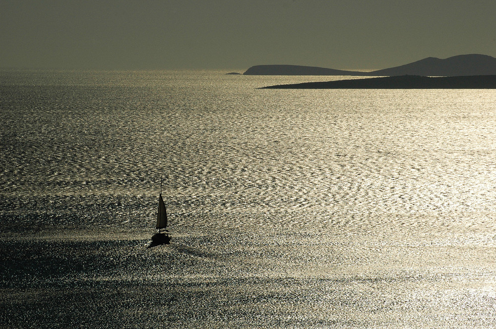 MARE D'ARGENTO di Franco Speroni 