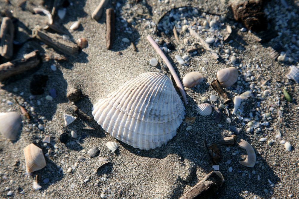 mare d'autunno...