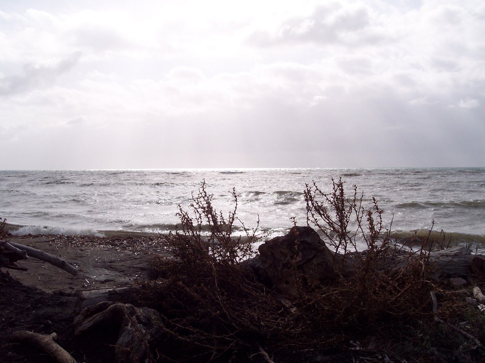 MARE D'AUTUNNO