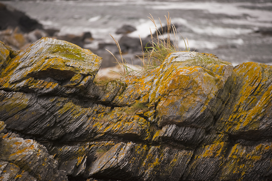 Mare del Nord Norvegia