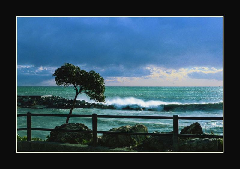 Mare di Liguria