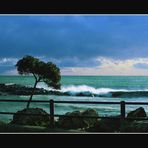 Mare di Liguria