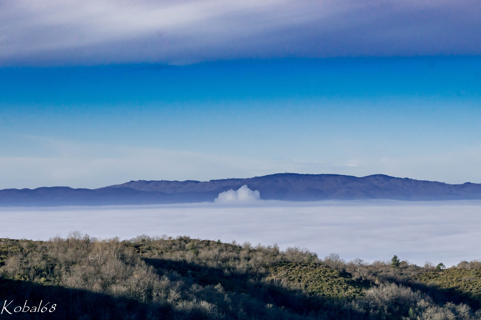 Mare di nebbia