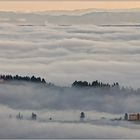 Mare di Nebbia