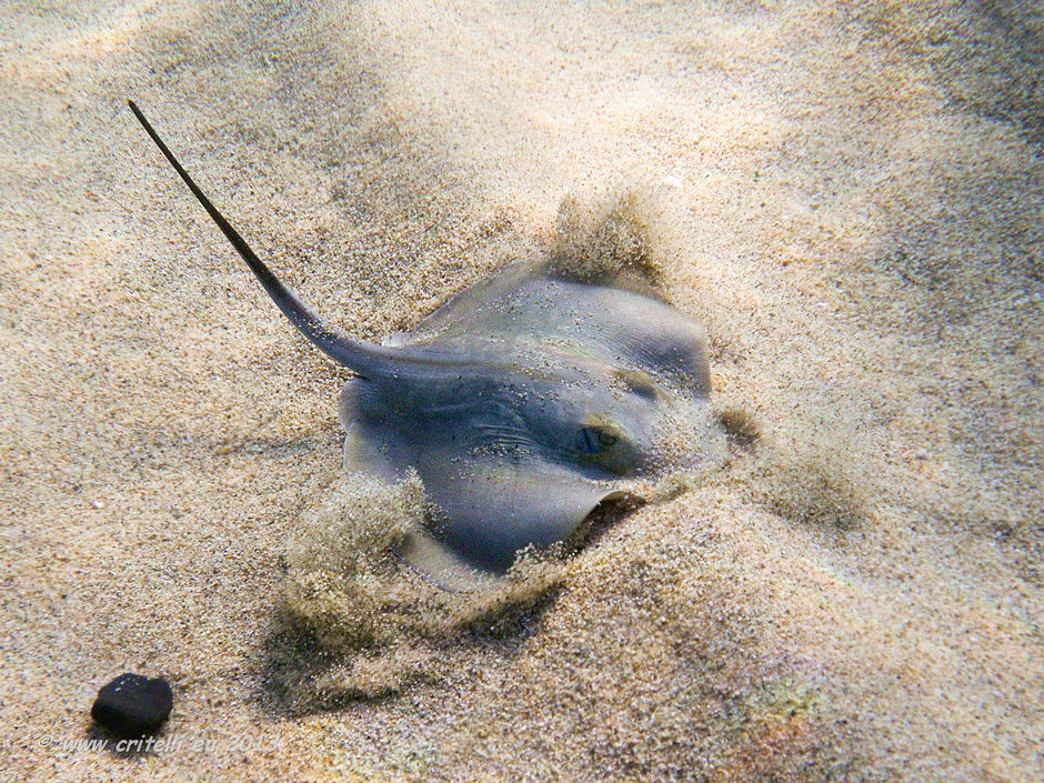 mare di Orosei