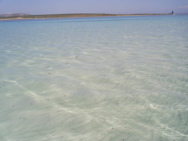 mare di Stintino