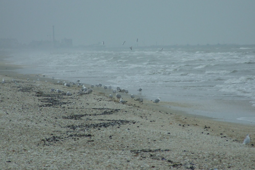 Mare D'inverno