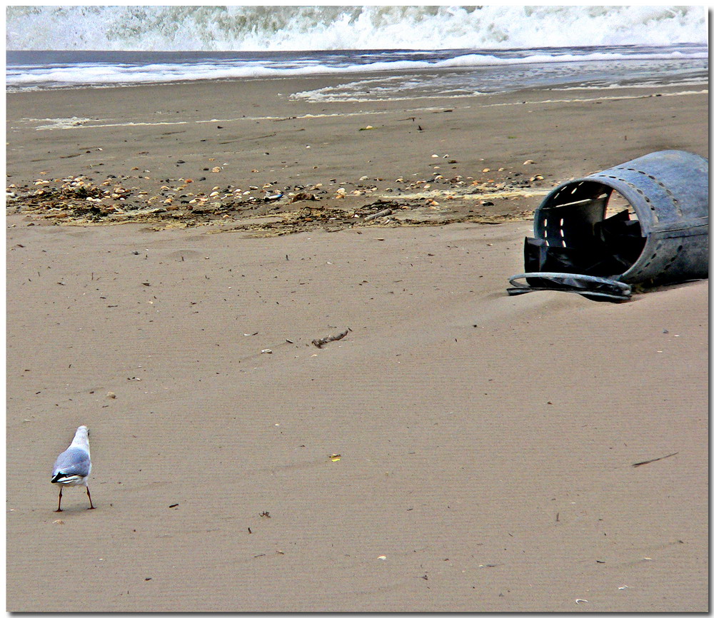 mare d'inverno