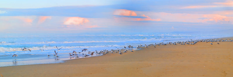 mare d'inverno