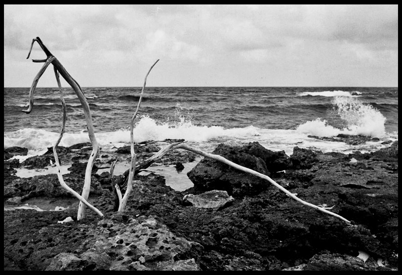 Mare d'inverno