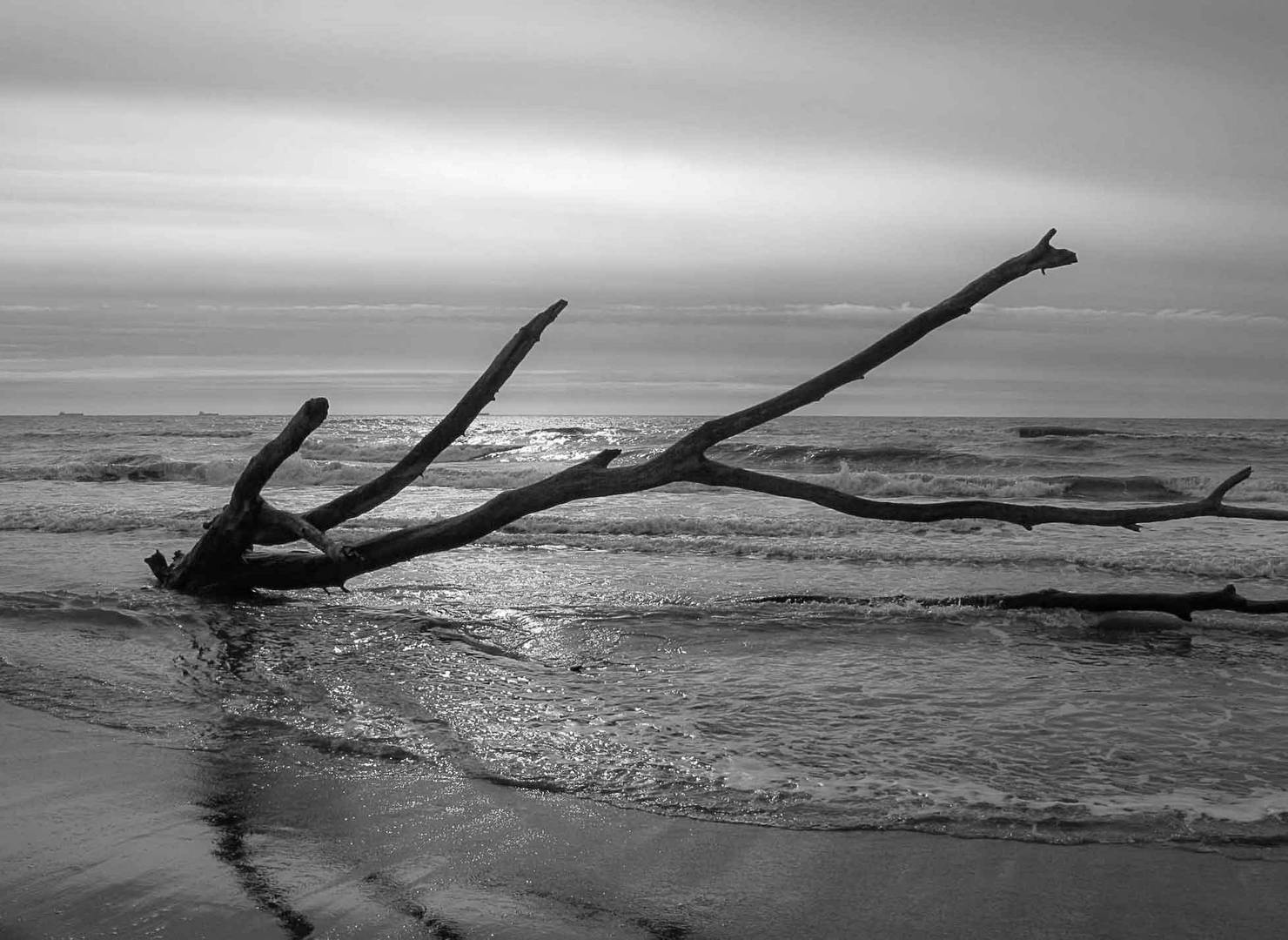 Mare d'Inverno