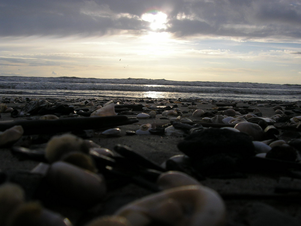 Mare d'inverno