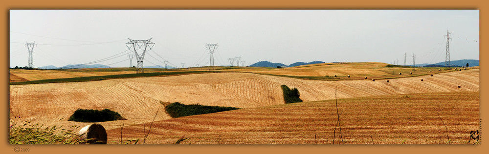 Mare dorato d'estate