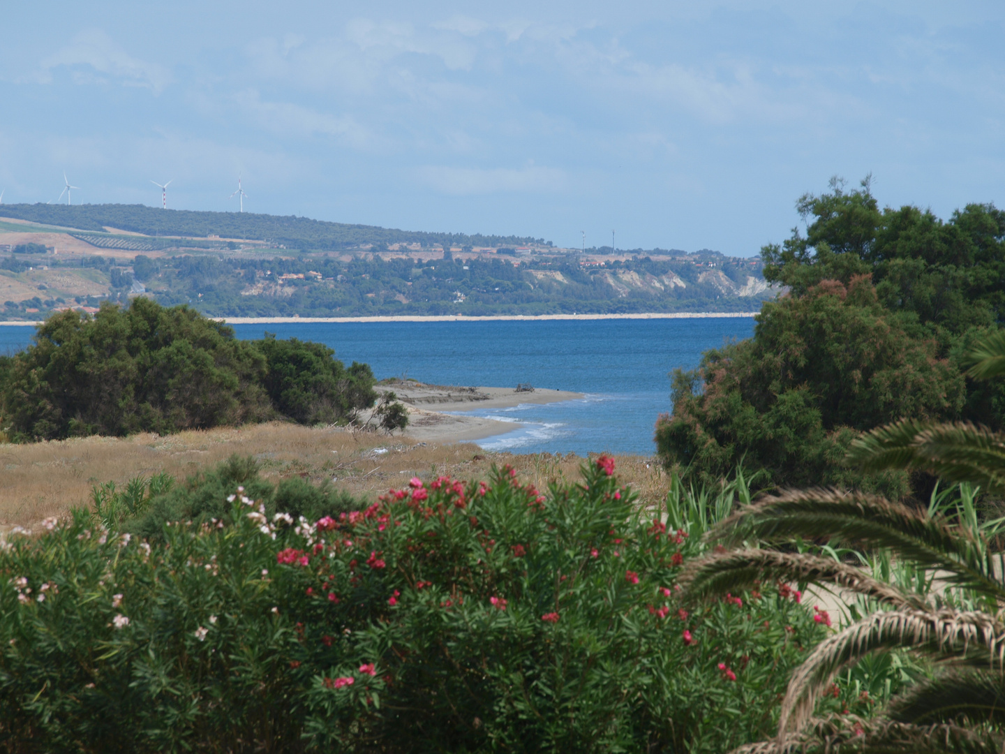 Mare e Vegetazione di Belcastro Marina (Catanzaro)