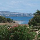 Mare e Vegetazione di Belcastro Marina (Catanzaro)