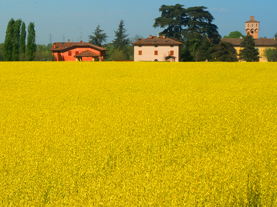 MARE GIALLO (1867)