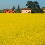 MARE GIALLO (1867)