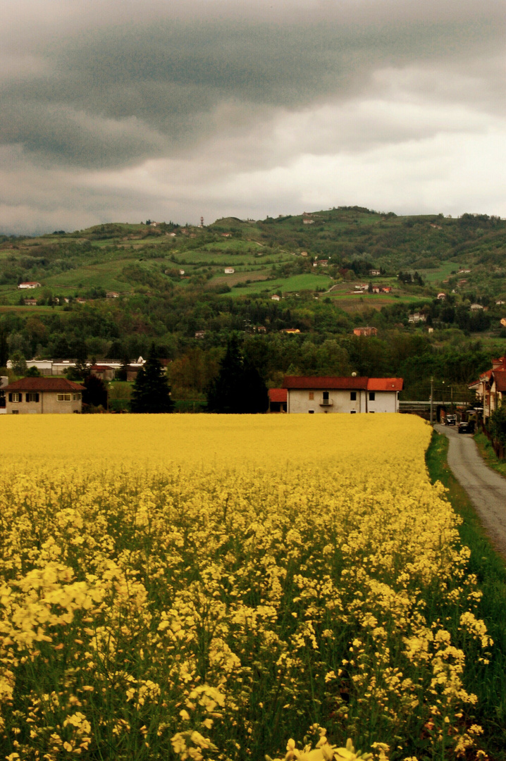 mare giallo