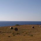 Mare sopra Campagna