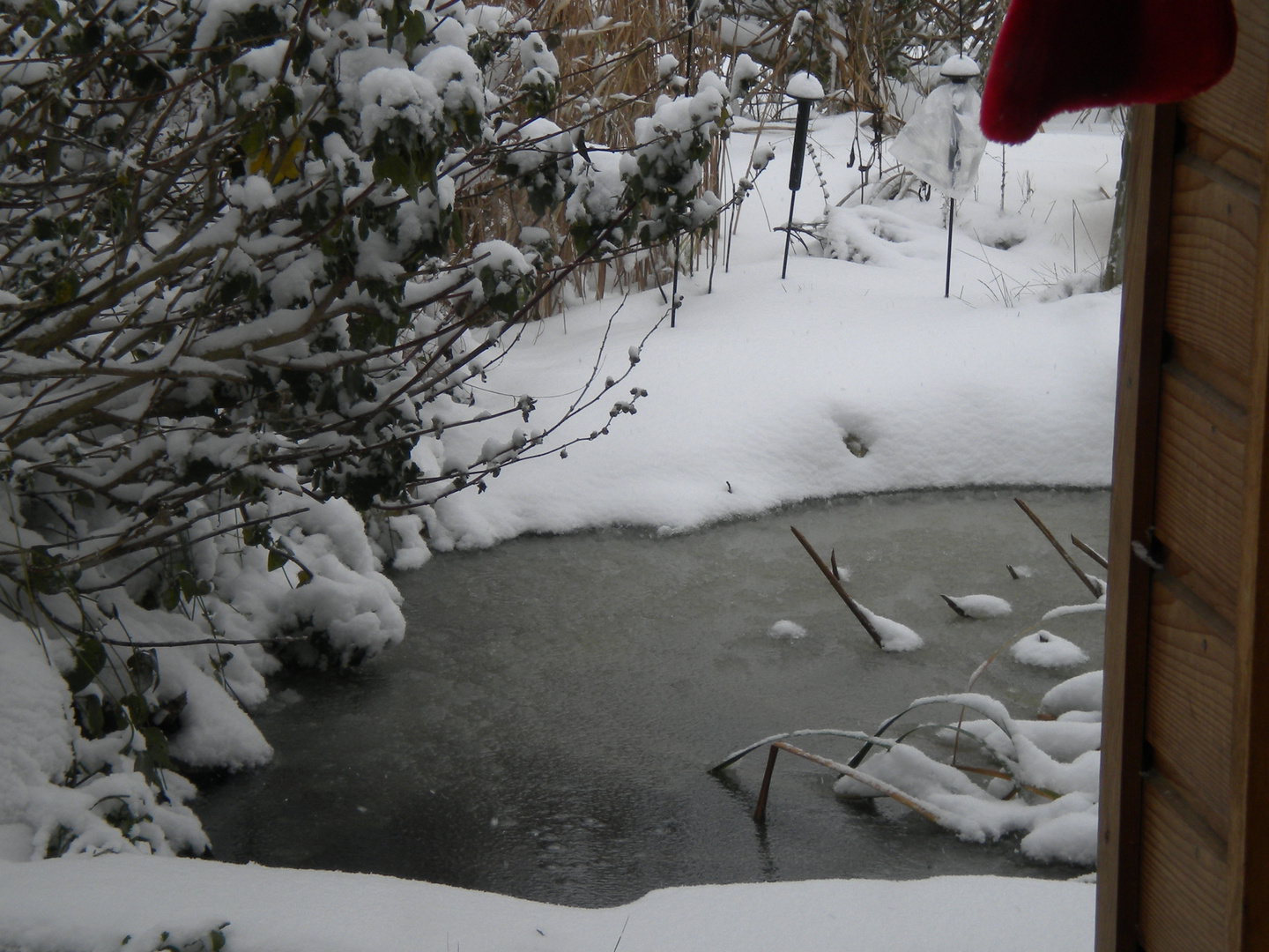 mare sous la neige