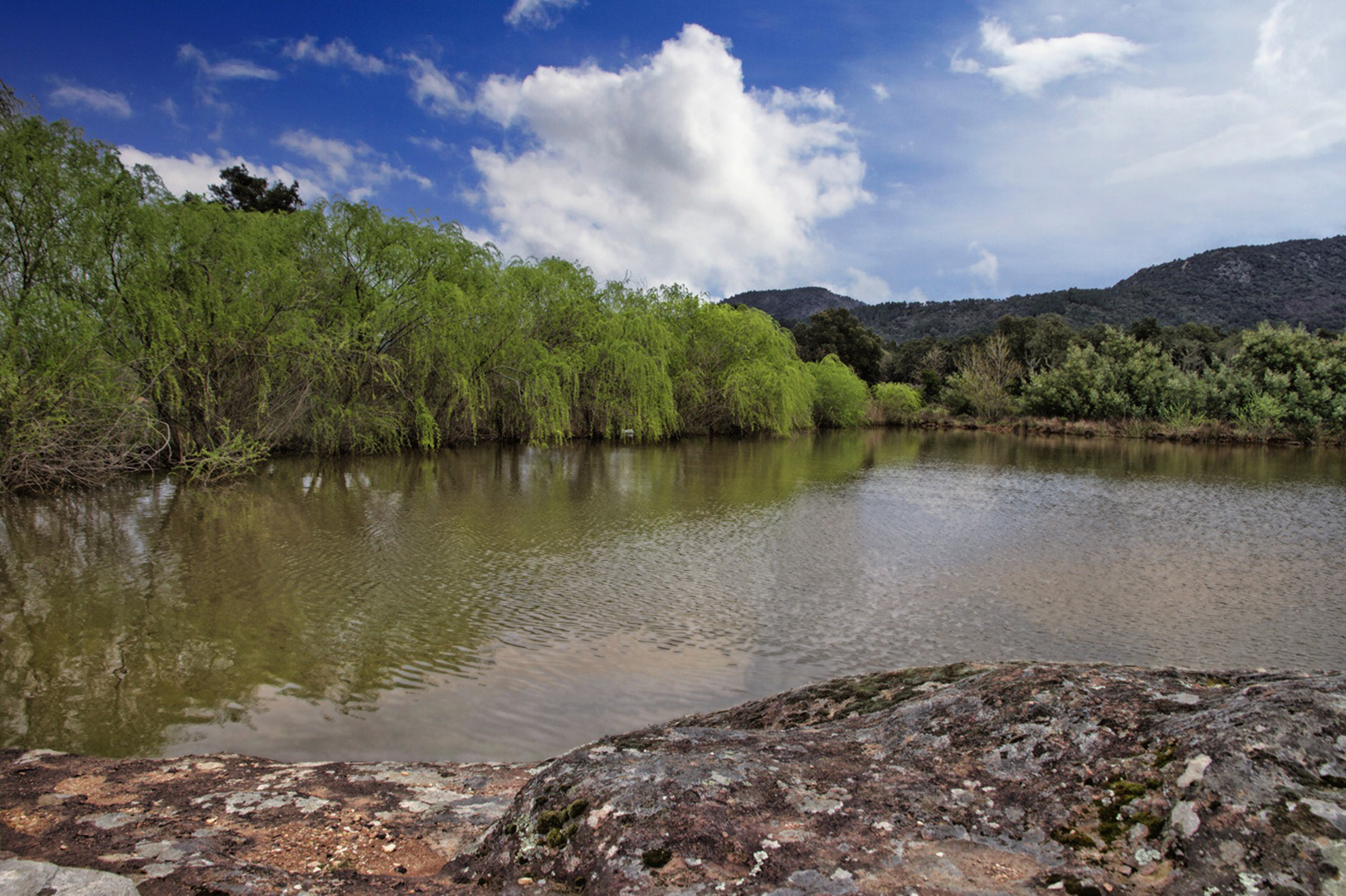 Mare temporaire dans le Massif des Maures (Var)