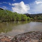 Mare temporaire dans le Massif des Maures (Var)