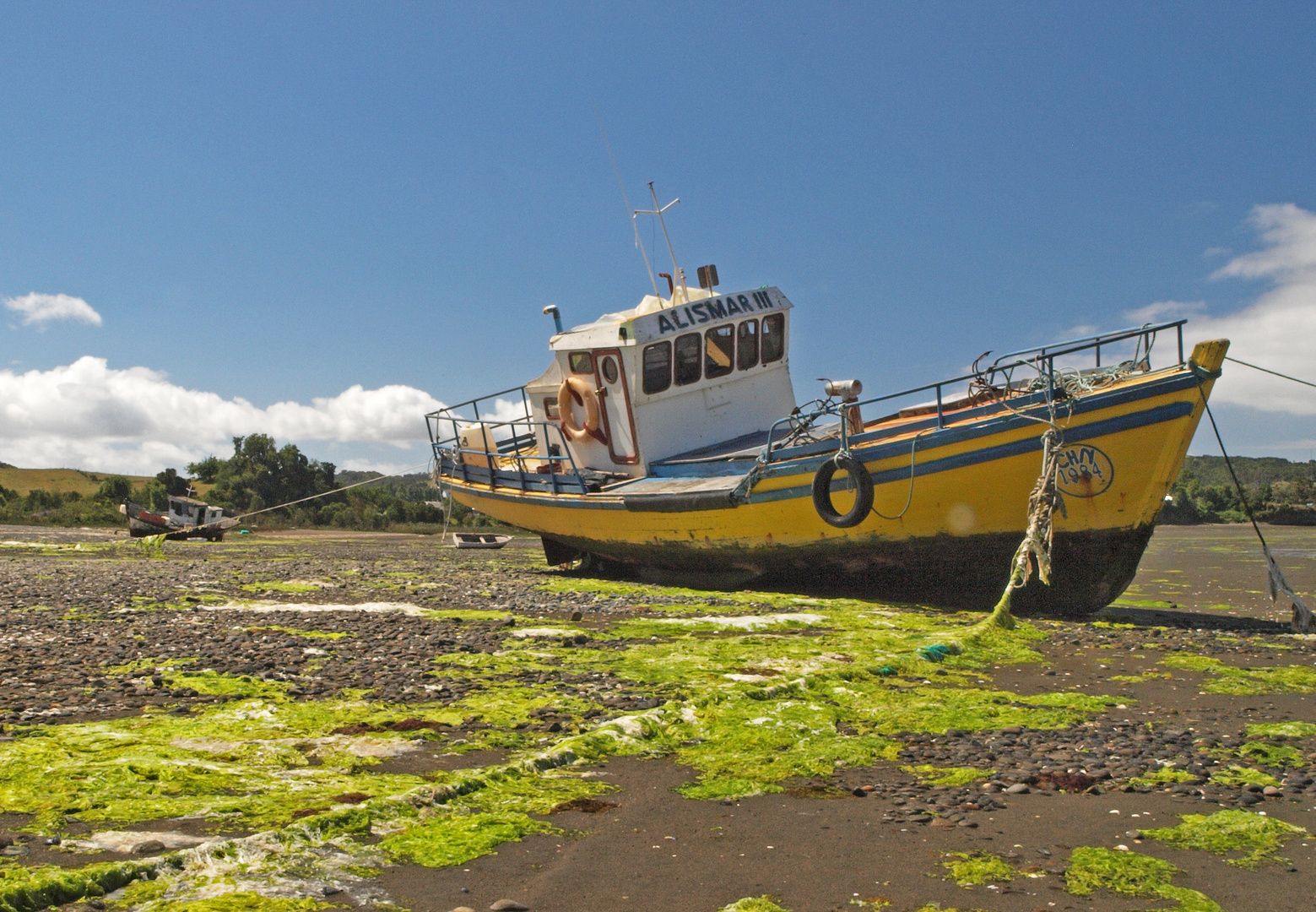 "marea baja"