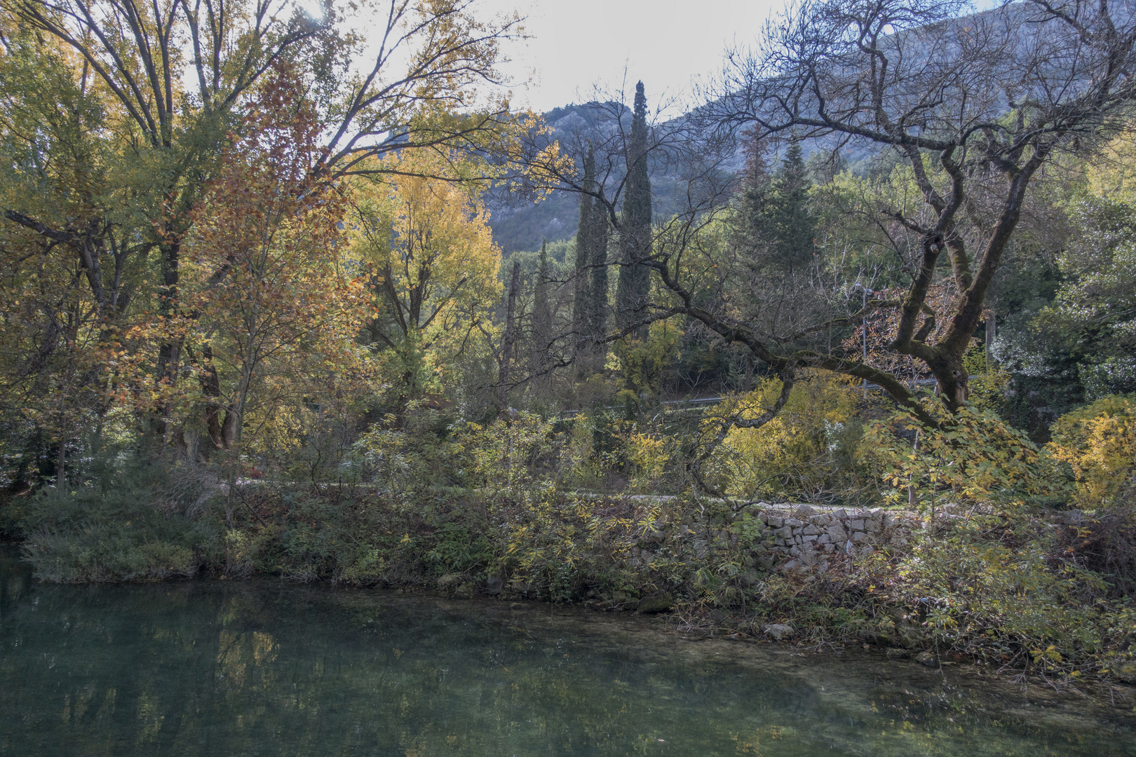 marea mediterana  Cetina River