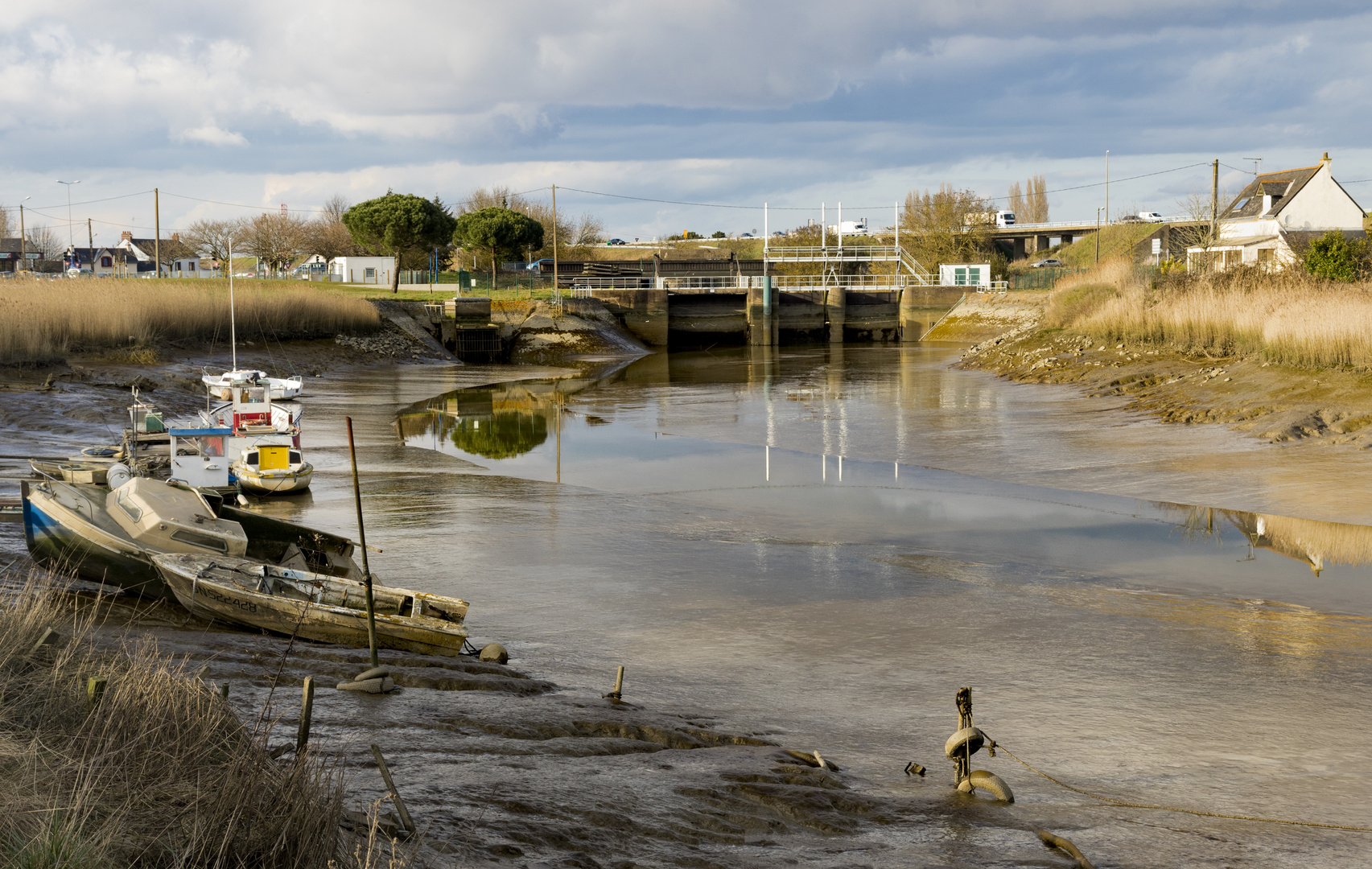 Marée Basse #1