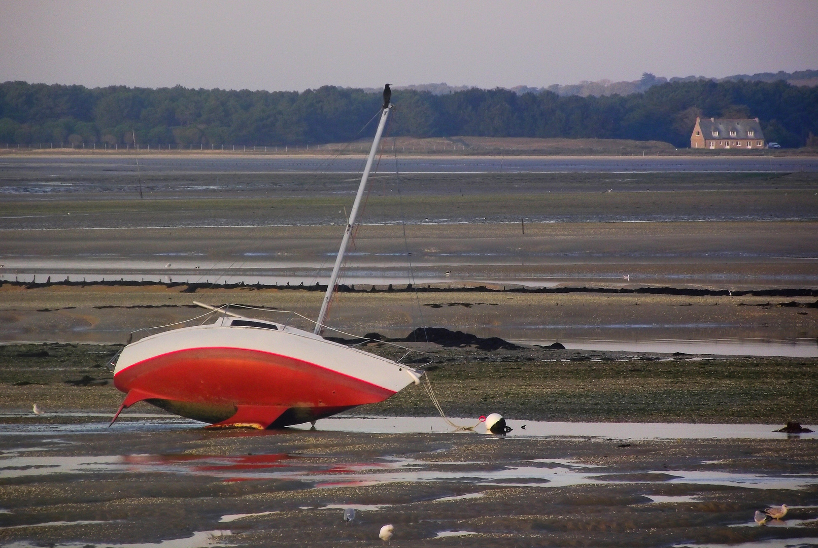 Marée basse