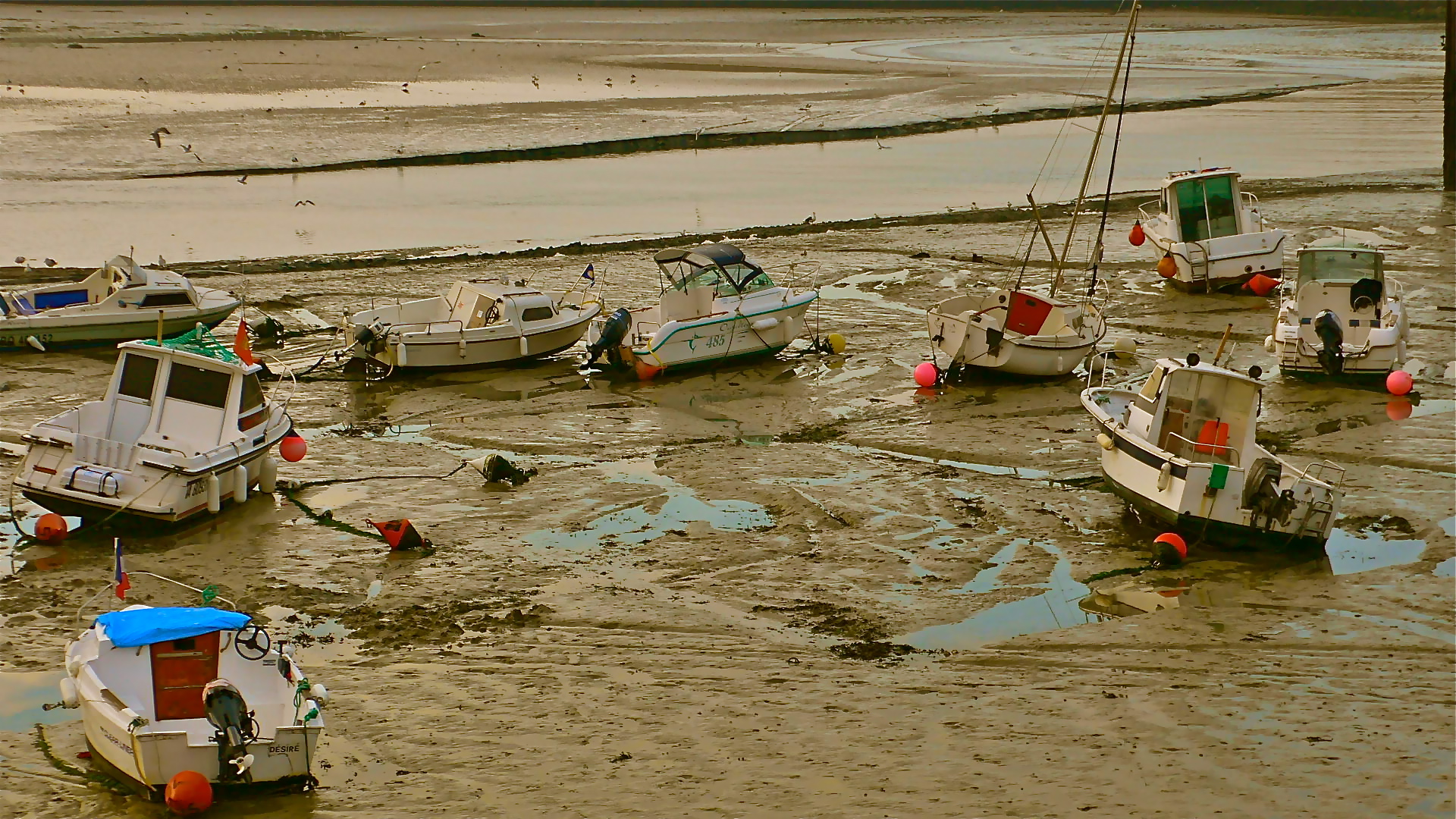 Marée basse